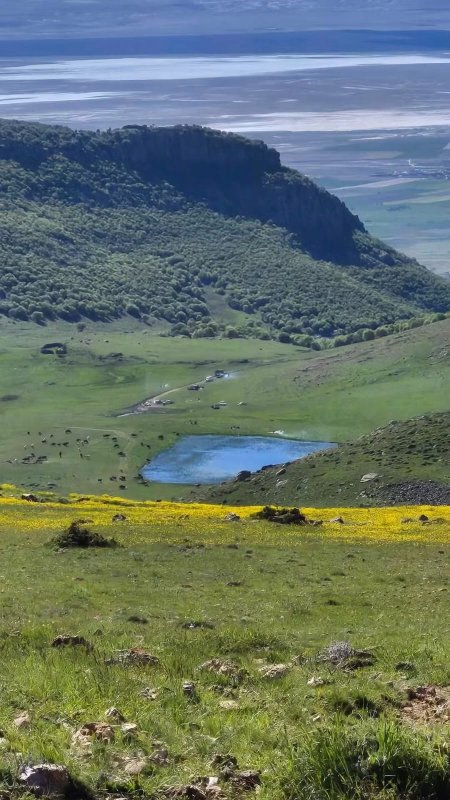 KARACADAĞ'DA ‘MADEN TALANINA HAYIR’ ÇIKIŞI