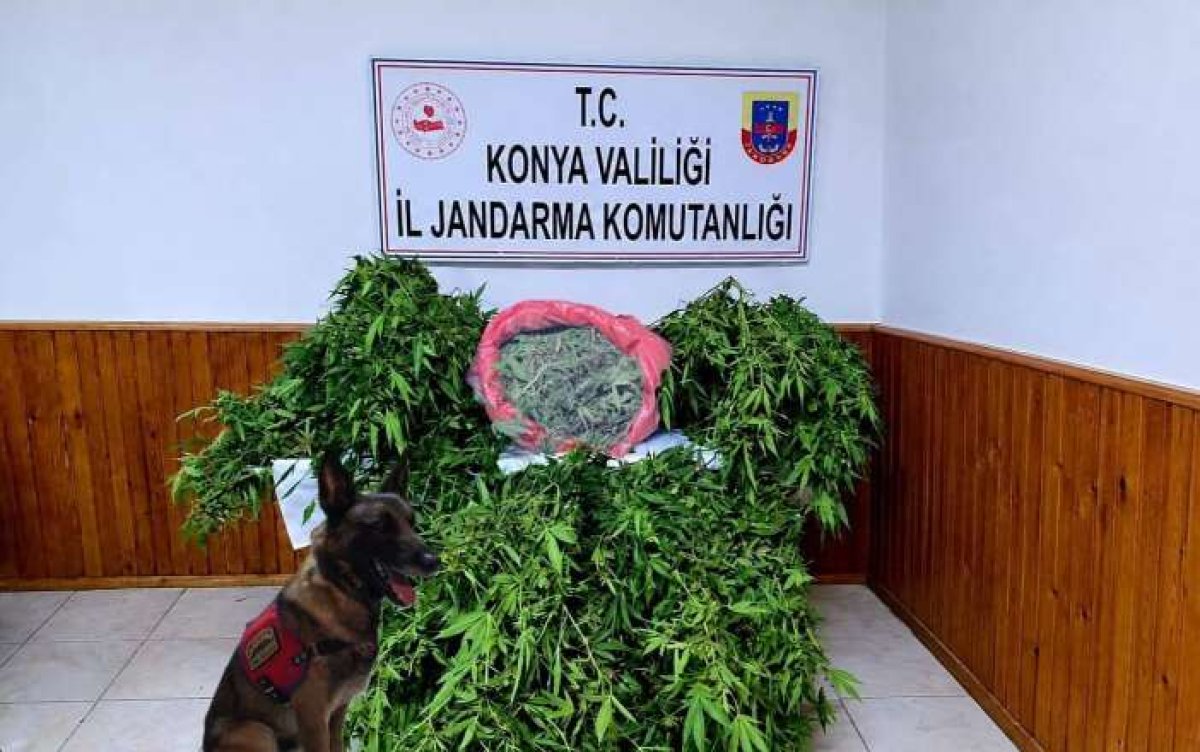 EREĞLİ’DE JANDARMA OPERASYONU: DEPODAN UYUŞTURUCU VE SİLAH ÇIKTI